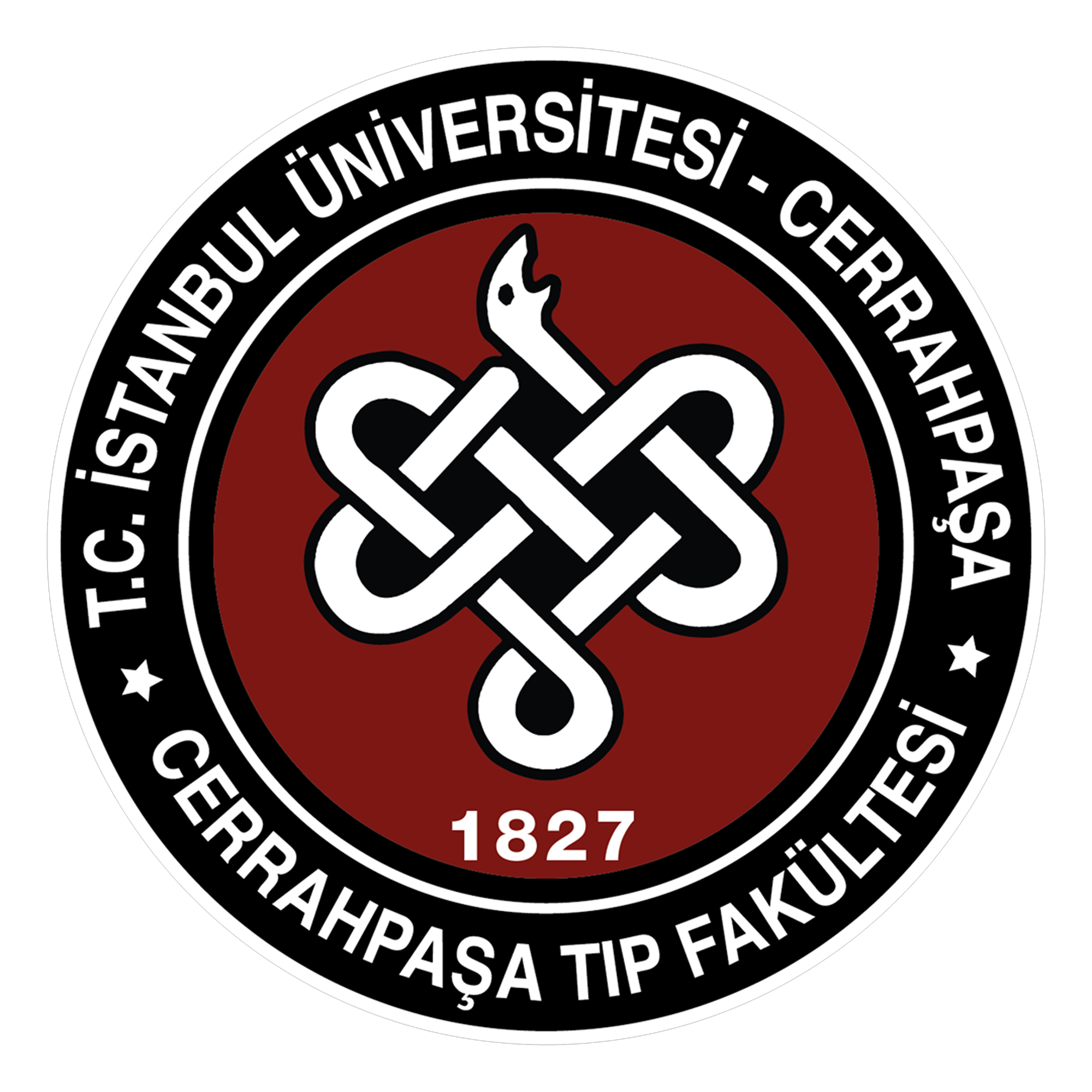 İstanbul Üniversitesi